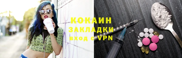 шишки Богородск