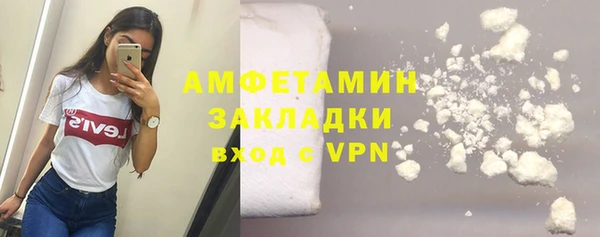 шишки Богородск