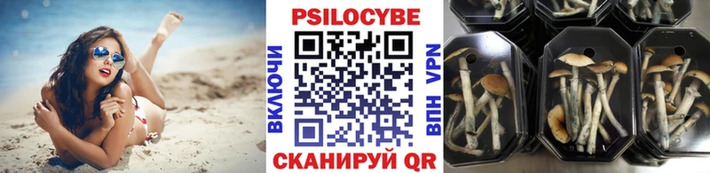 Галлюциногенные грибы GOLDEN TEACHER  даркнет сайт  Дигора 